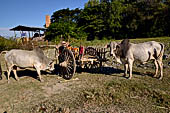 Inle Lake Myanmar. The market of the village of Nampan on the eastern lakeshore. 